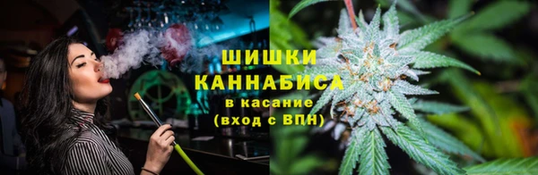 мдпв Новодвинск