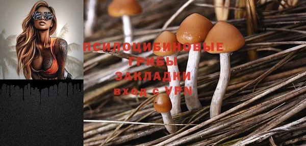 мдпв Новодвинск