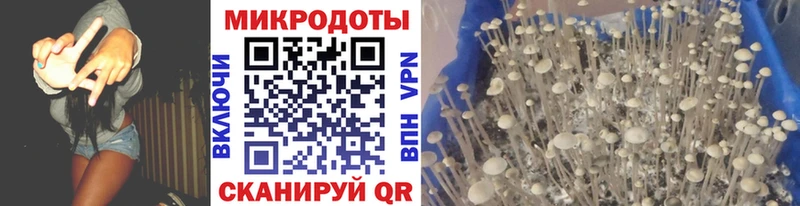 Галлюциногенные грибы ЛСД  Купить  Кстово 
